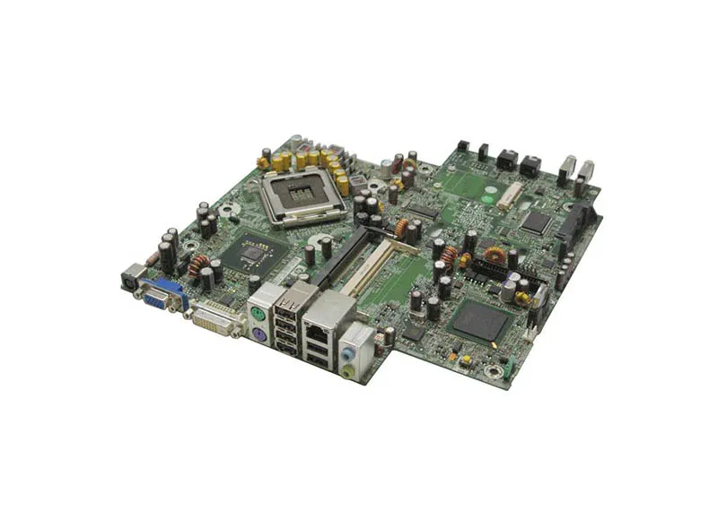 Converse Training Shoes