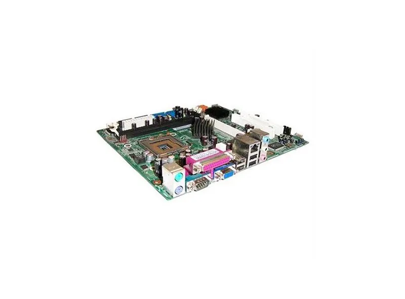 Converse Training Shoes