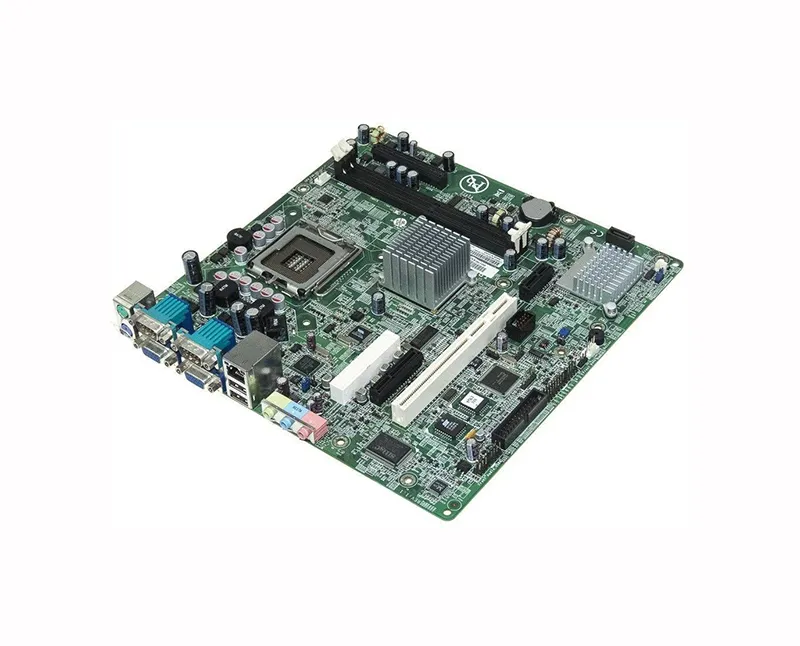 Converse Training Shoes